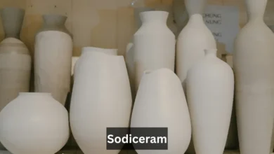 Sodiceram